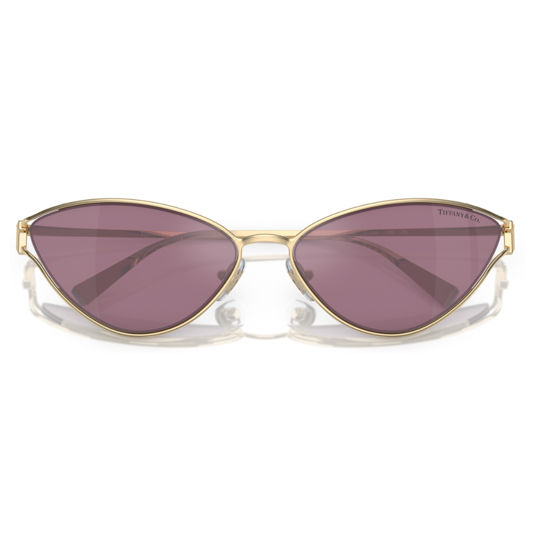Tiffany & Co. TF3095 6194 AK
