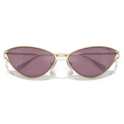 Tiffany & Co. TF3095 6194 AK