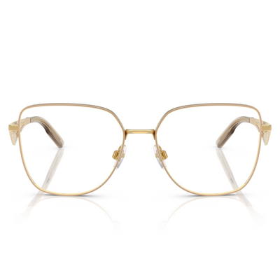 Dolce & Gabbana DG1358 1366