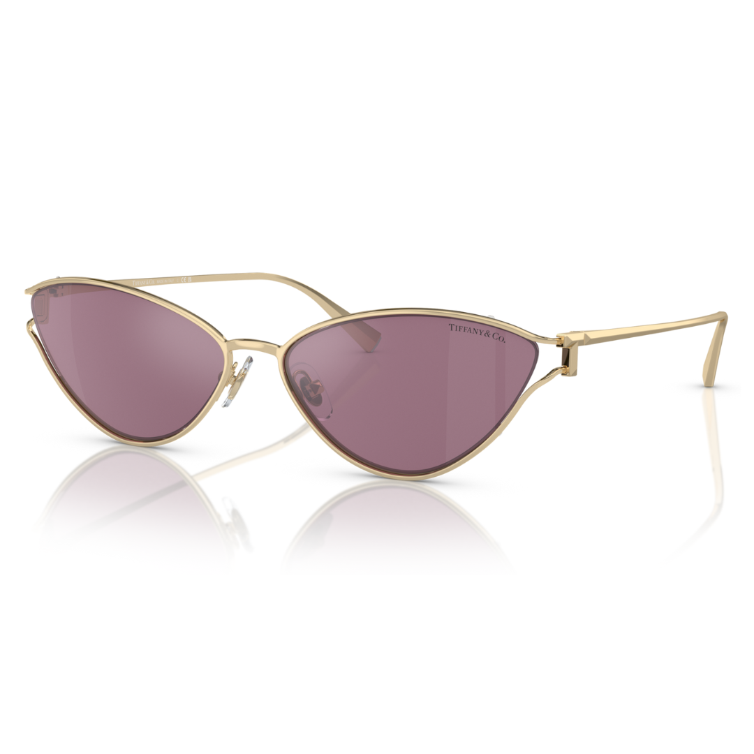 Tiffany & Co. TF3095 6194 AK