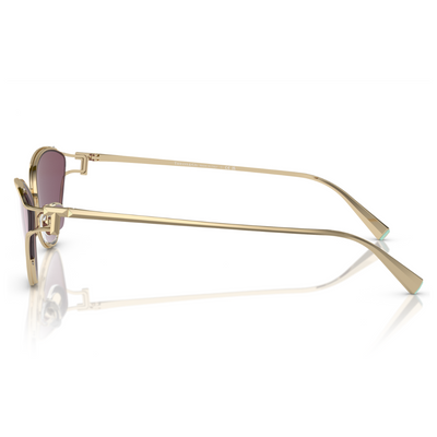 Tiffany & Co. TF3095 6194 AK