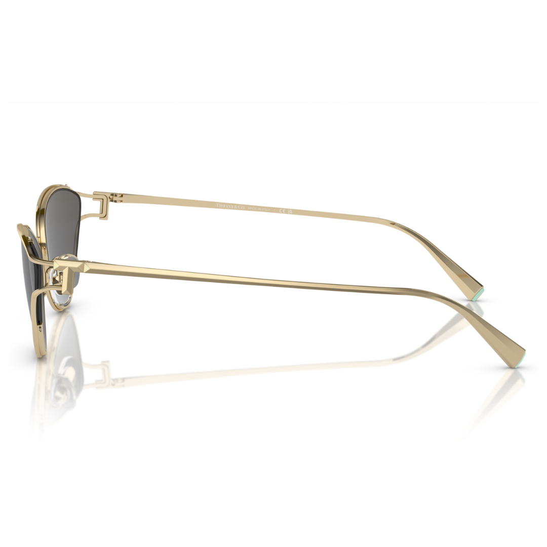 Tiffany & Co. TF3095 6021 S4