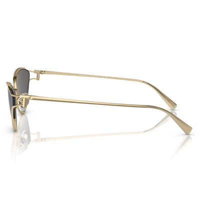 Tiffany & Co. TF3095 6021 S4