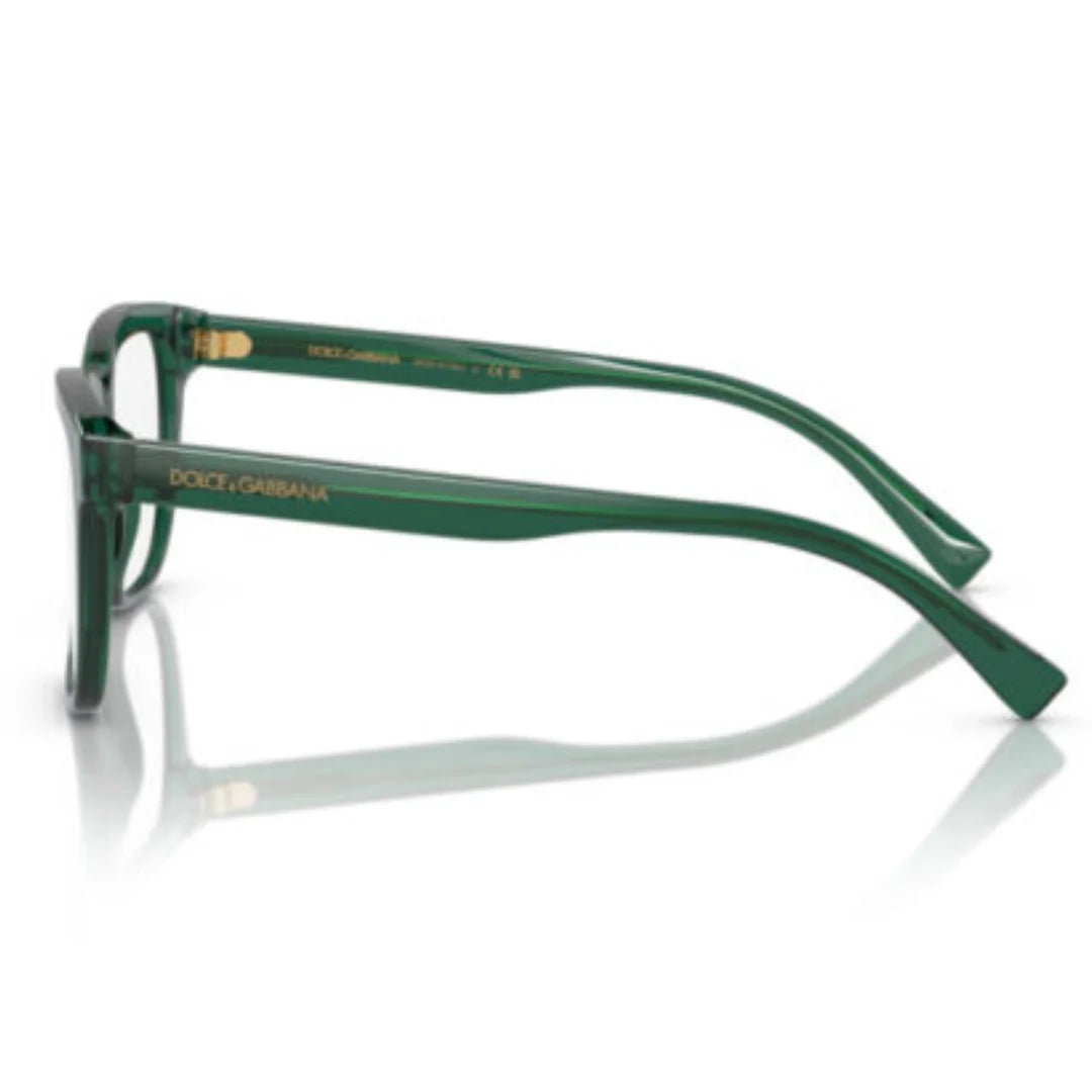 Dolce & Gabbana DX3356 3008