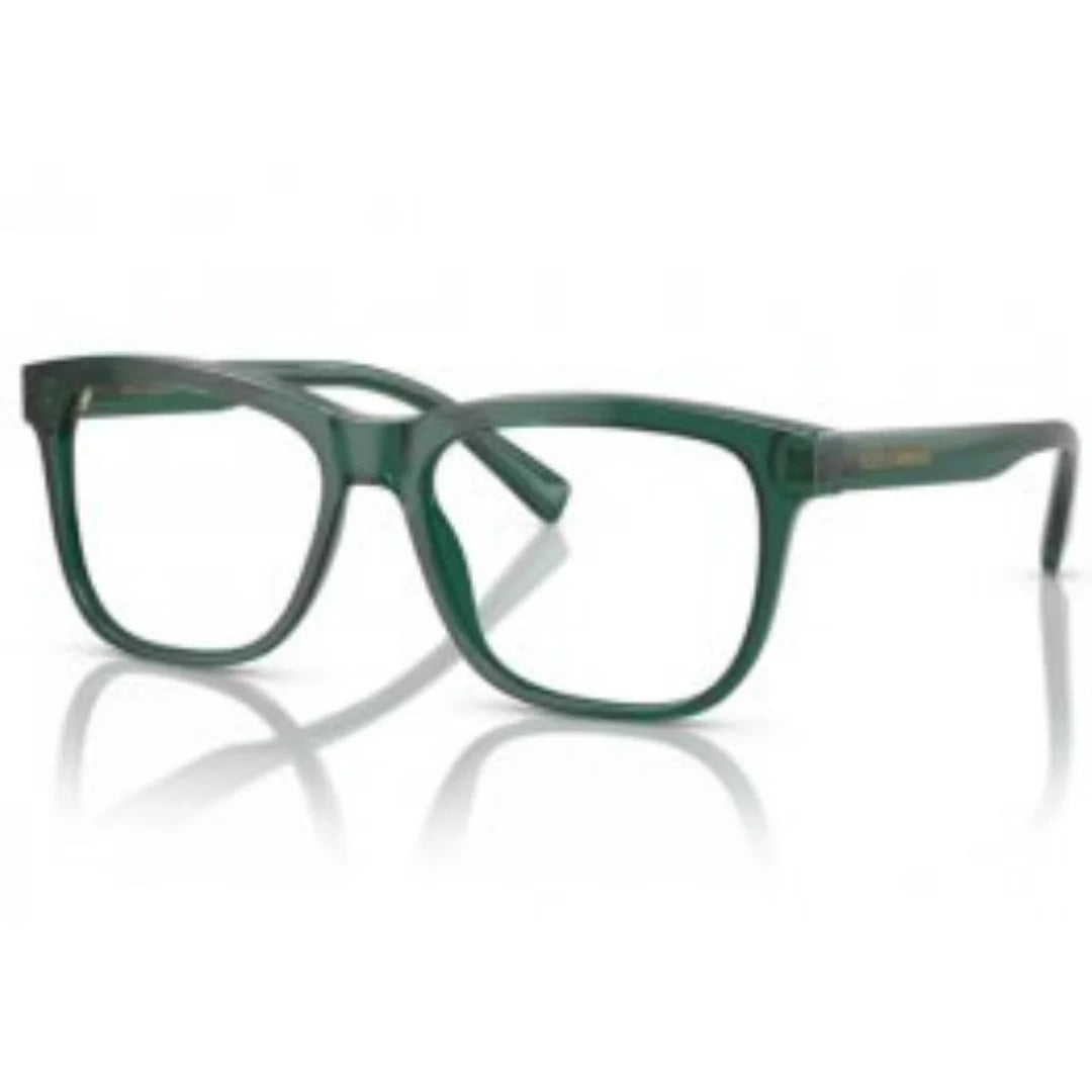 Dolce & Gabbana DX3356 3008
