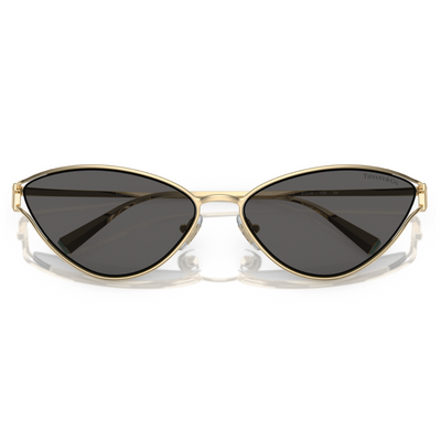 Tiffany & Co. TF3095 6021 S4