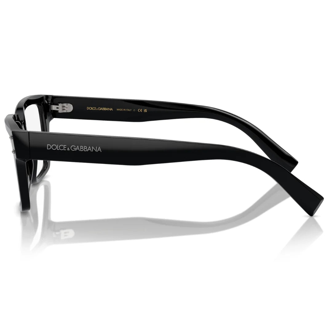 Dolce & Gabbana DG3383 501