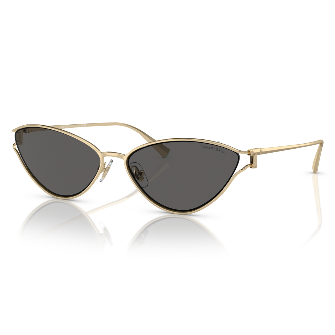 Tiffany & Co. TF3095 6021 S4