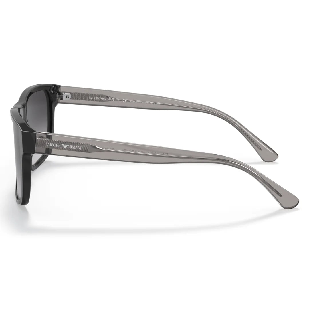 Emporio Armani EA 4163 5875 8G