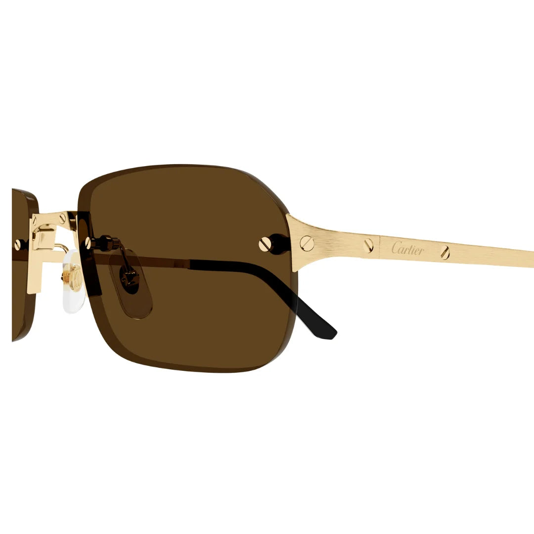 Cartier CT0460S 002 56 Santos Classic Sunglasses