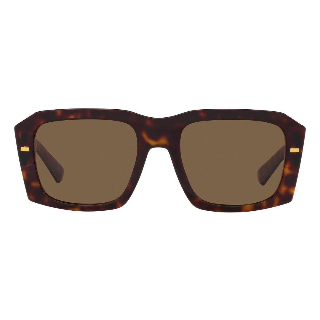 Dolce & Gabbana DG4430 502/73