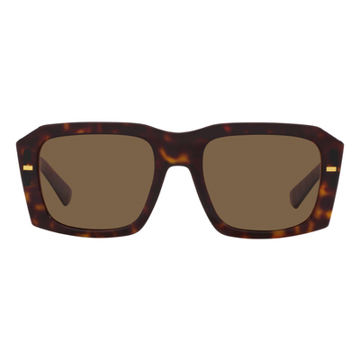 Dolce & Gabbana DG4430 502/73