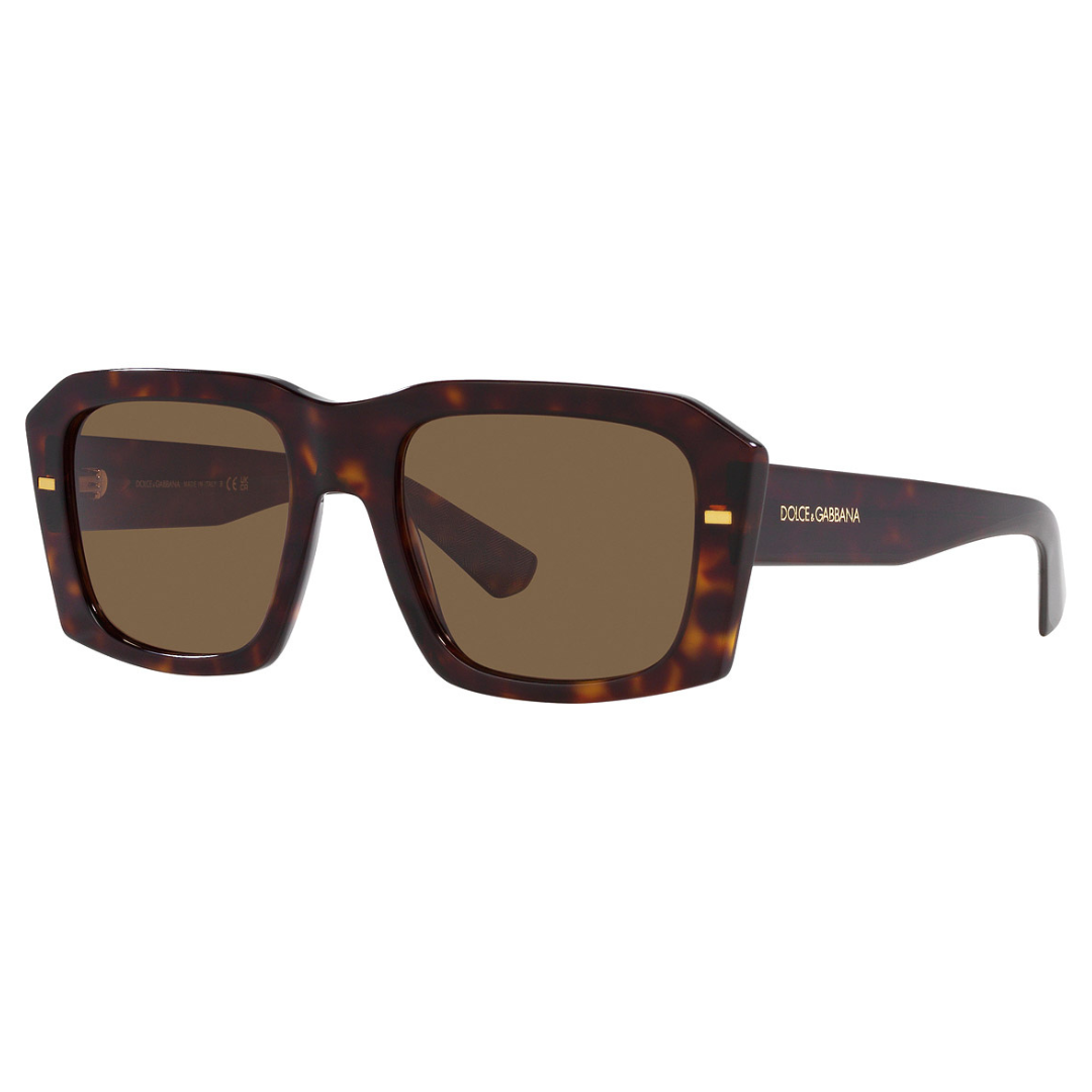 Dolce & Gabbana DG4430 502/73