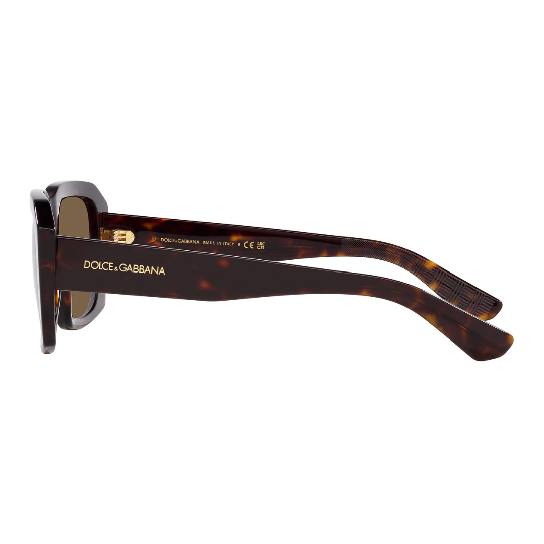 Dolce & Gabbana DG4430 502/73