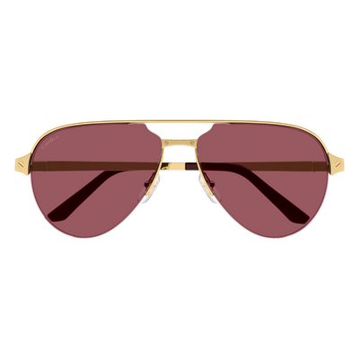 Cartier CT0386S 004