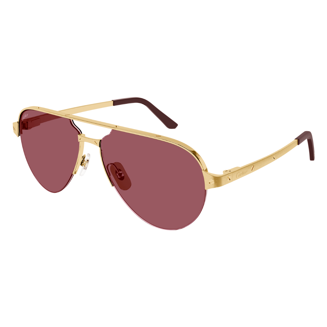 Cartier CT0386S 004