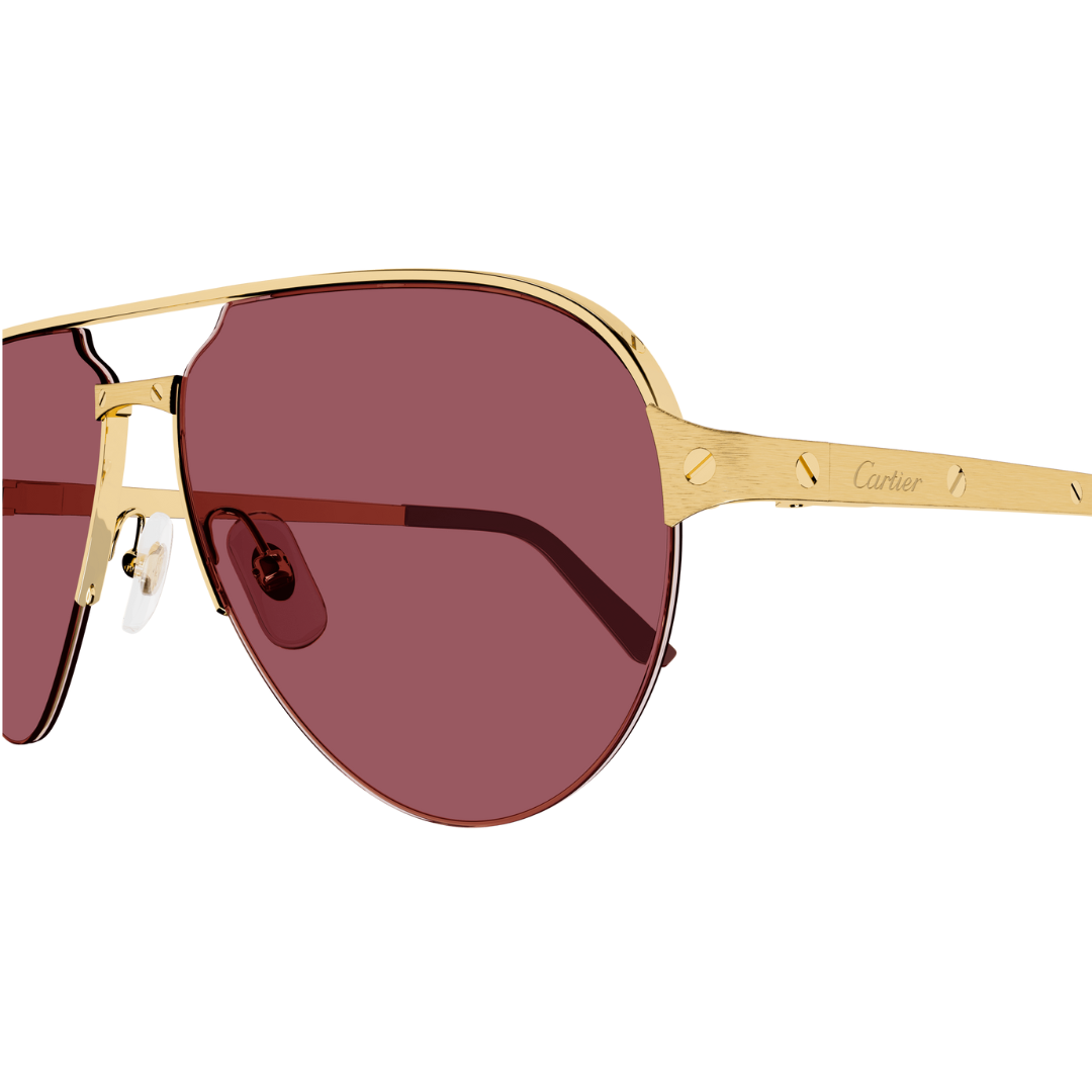 Cartier CT0386S 004