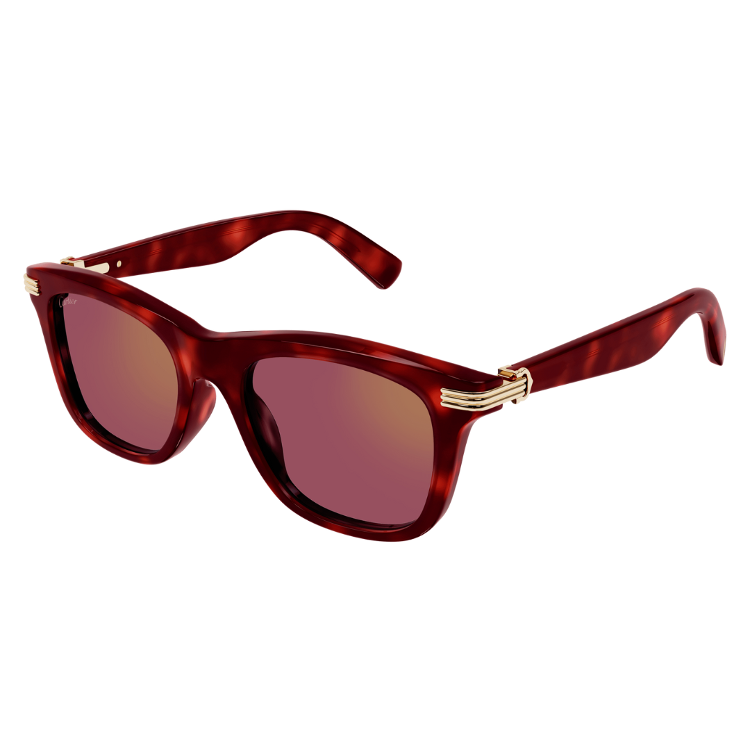 Cartier CT0396S 003