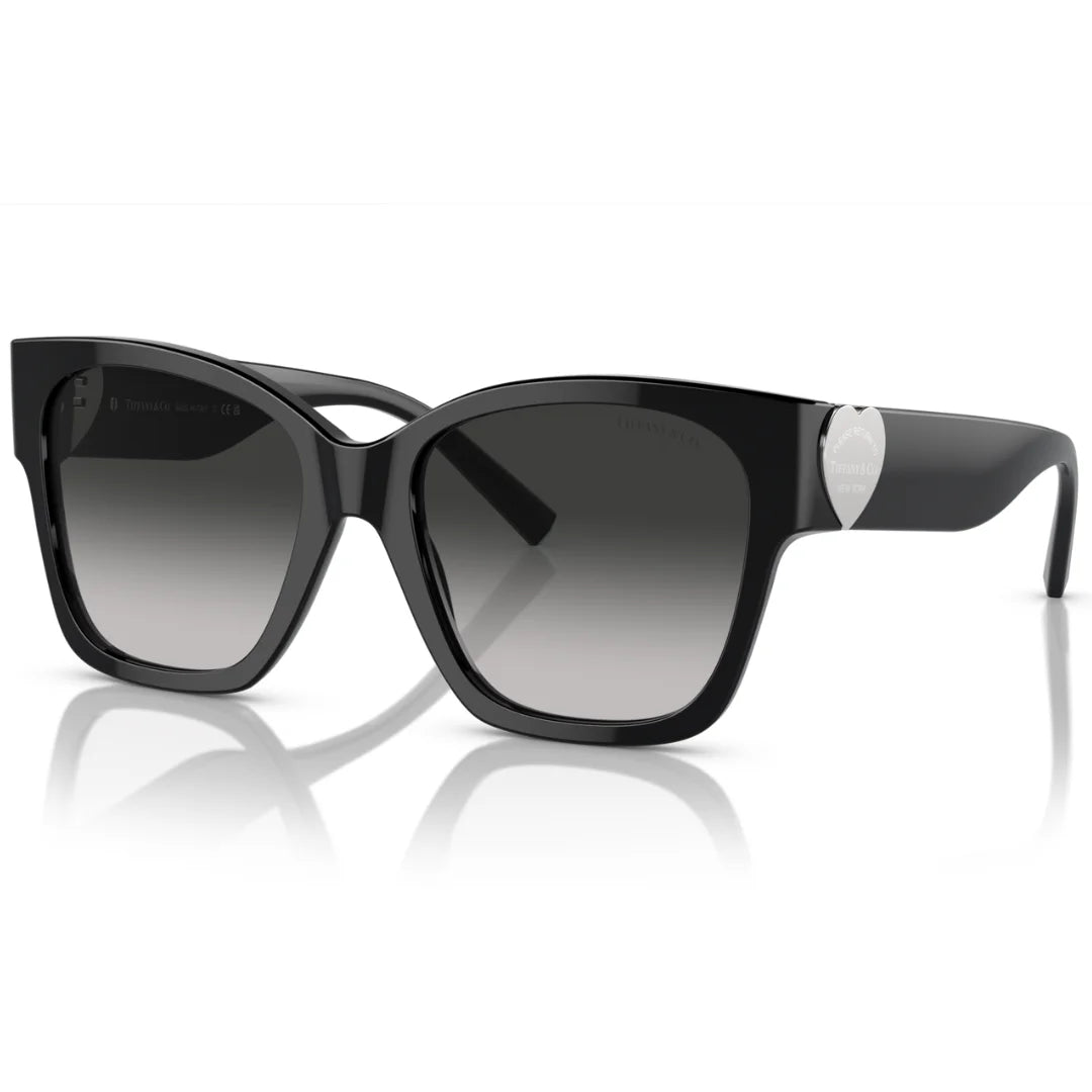 Tiffany & Co. TF4216 8001 3C