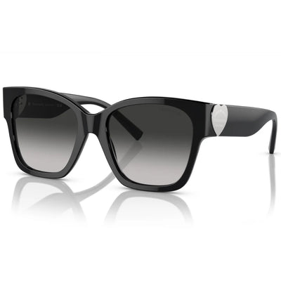 Tiffany & Co. TF4216 8001 3C