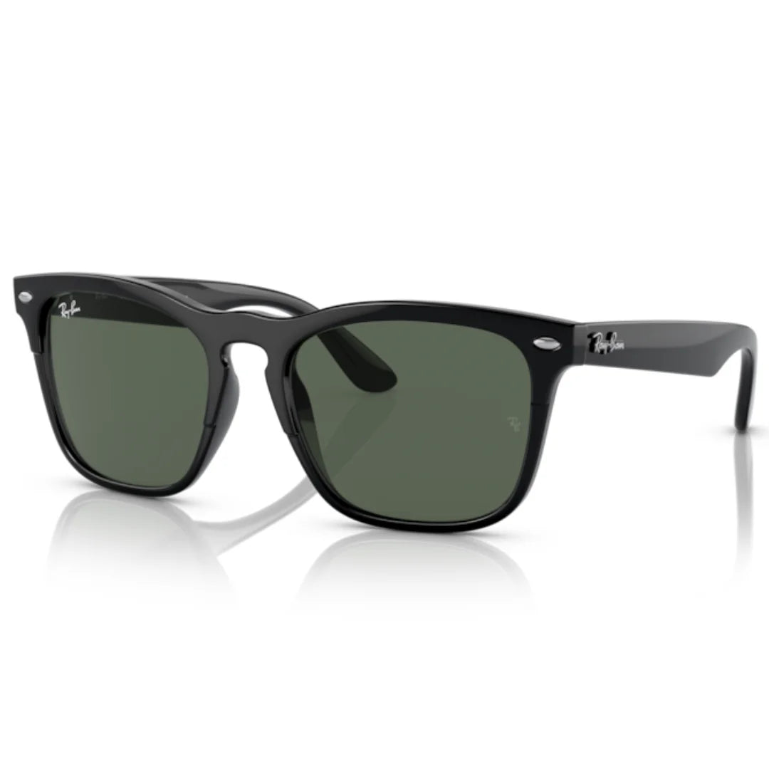 Ray Ban RB4487 6629 71