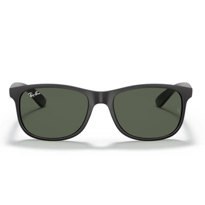 Ray Ban RB4202 6069