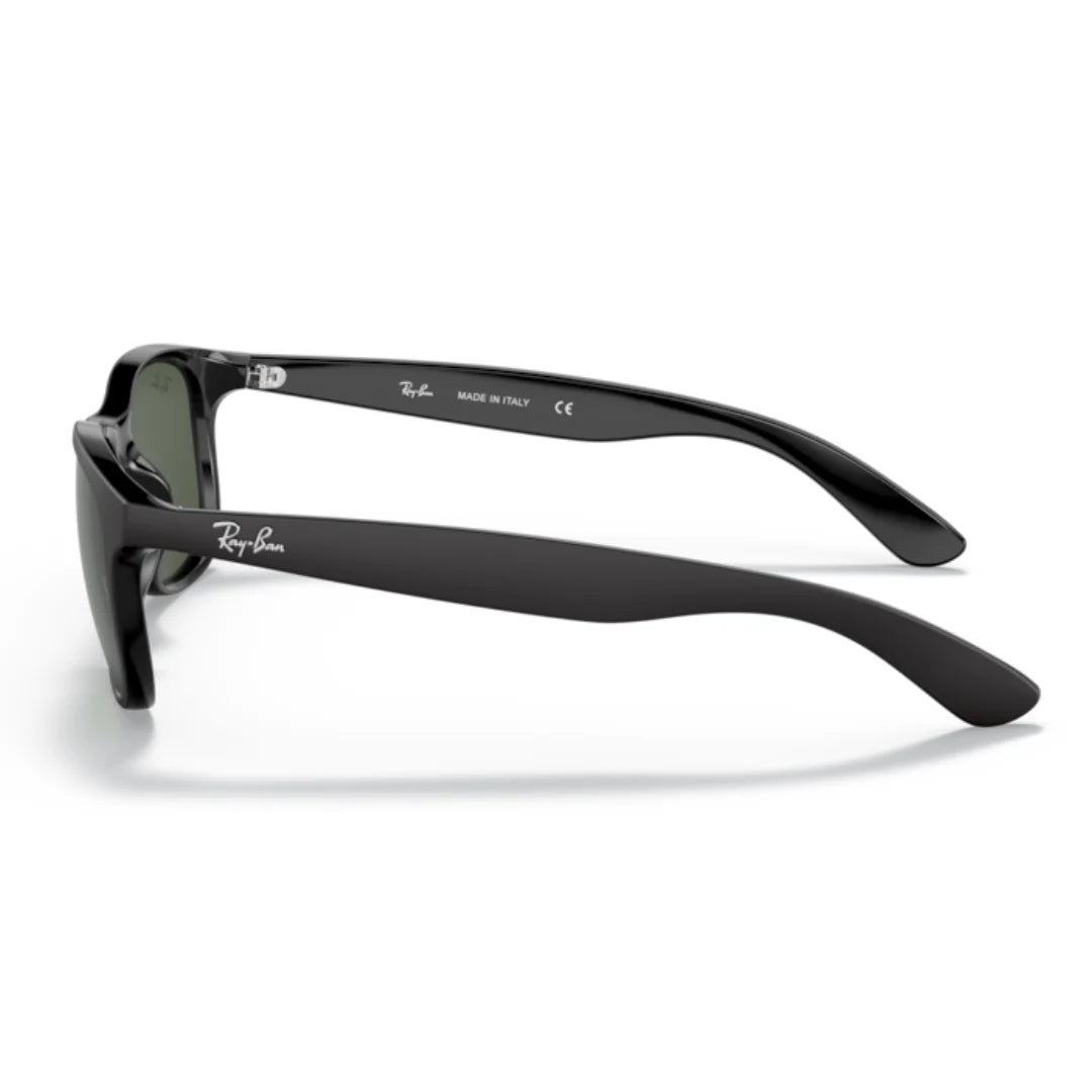 Ray Ban RB4202 6069