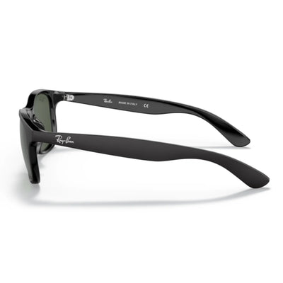 Ray Ban RB4202 6069