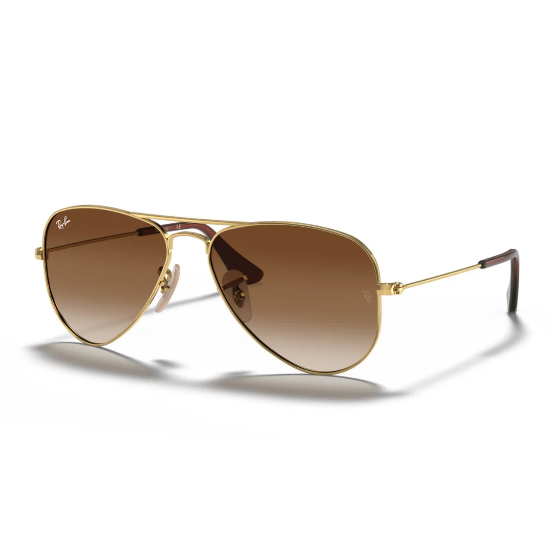 Ray Ban RJ9506S 223