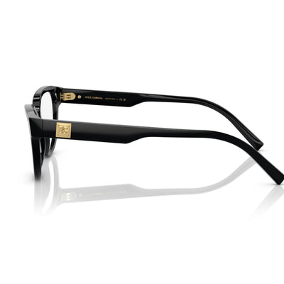 Dolce and Gabbana DG3358 501