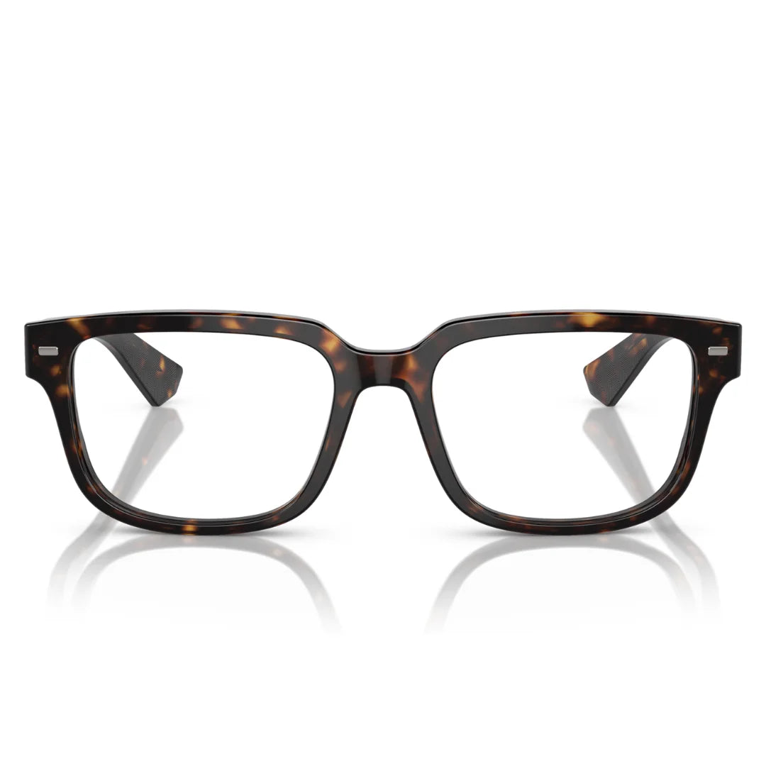 Dolce and Gabbana DG3380 502