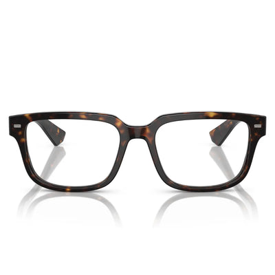 Dolce and Gabbana DG3380 502