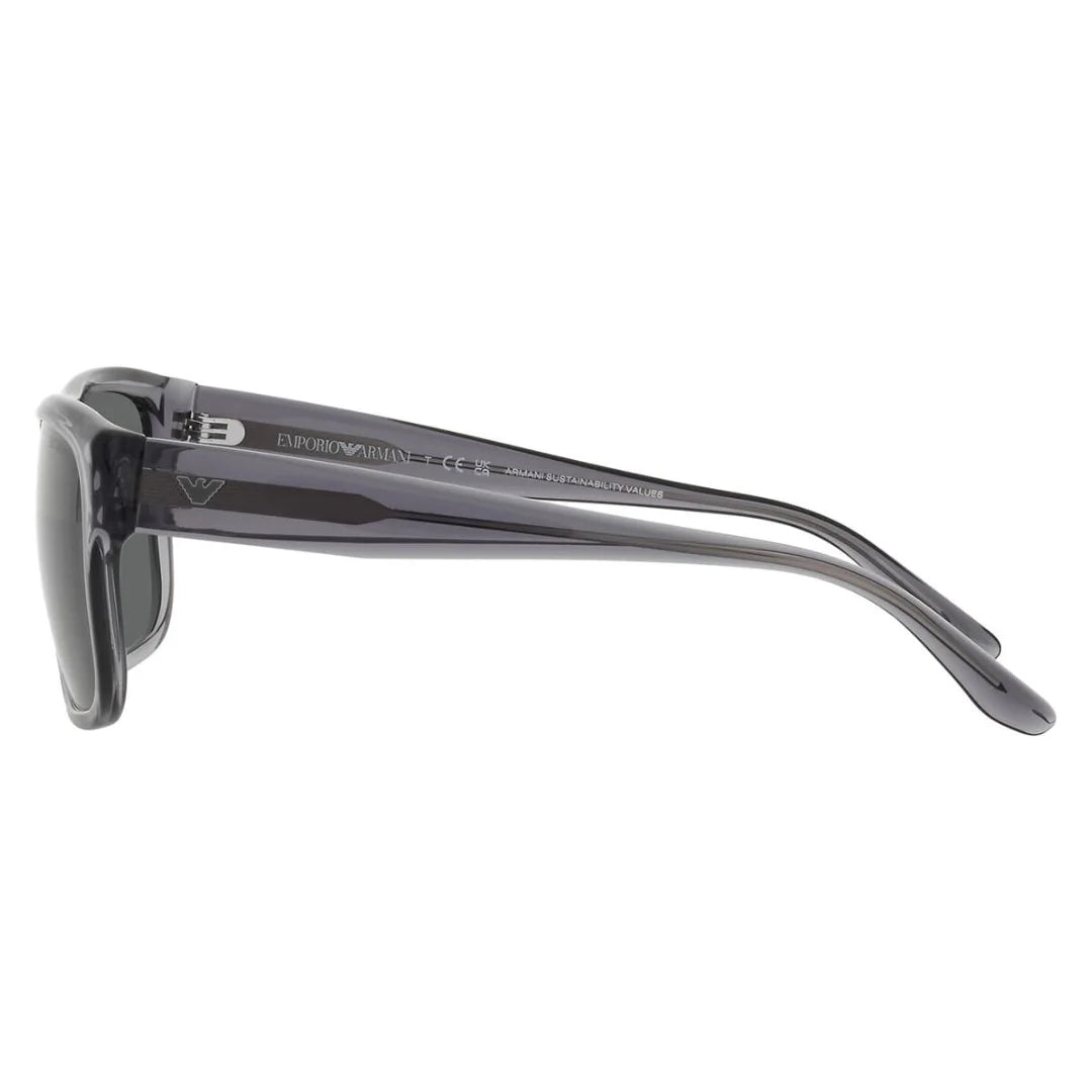 Emporio Armani EA 4197 5029 87