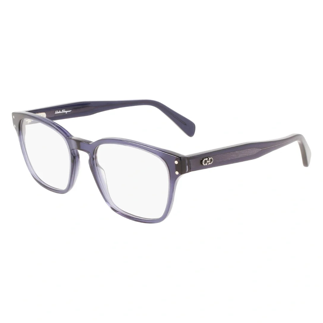 Ferragamo SF2925 420