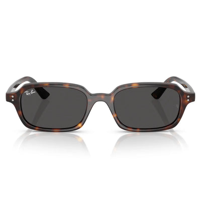Ray Ban RB4455 1359/87