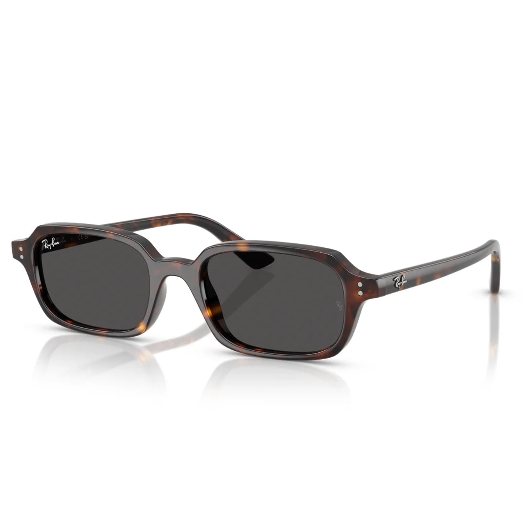 Ray Ban RB4455 1359/87