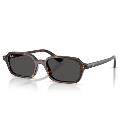 Ray Ban RB4455 1359/87