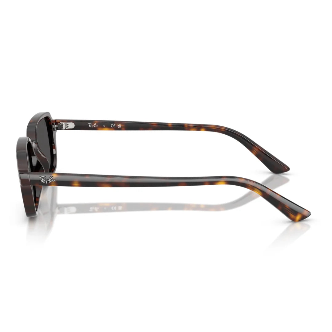 Ray Ban RB4455 1359/87