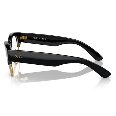 Ray Ban RB0316V 2000