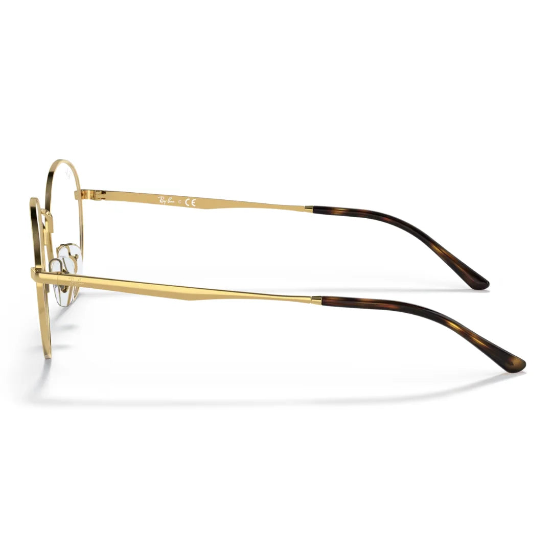 Ray Ban RB3681V 2500
