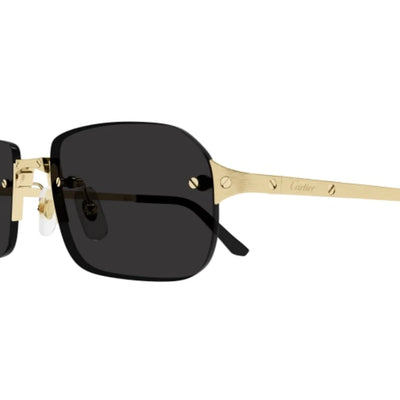 Cartier CT0460S 001