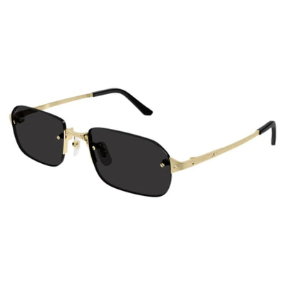 Cartier CT0460S 001