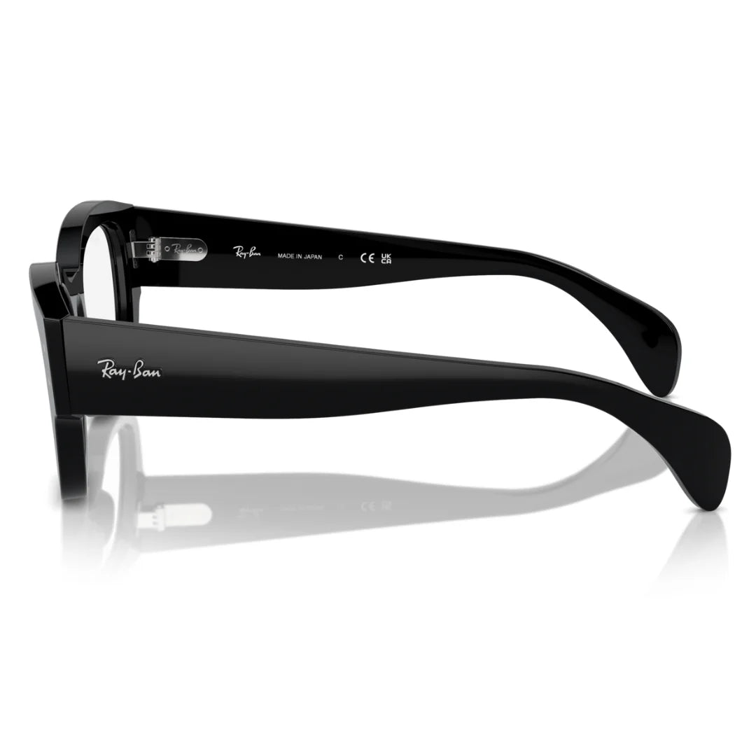 Ray Ban 0RX7681V 2000