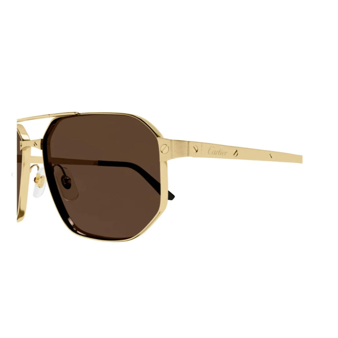 Cartier CT0462S 004