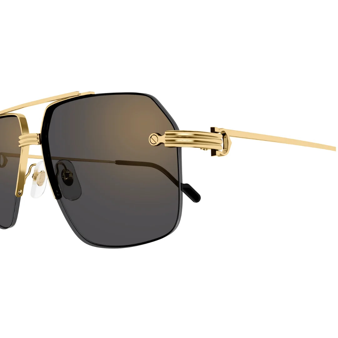 Cartier CT0426S 001