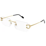 Cartier CT0488O 001 Frame