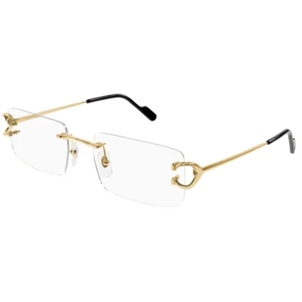 Cartier CT0488O 001 Frame