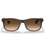 Ray Ban RB4202 6073