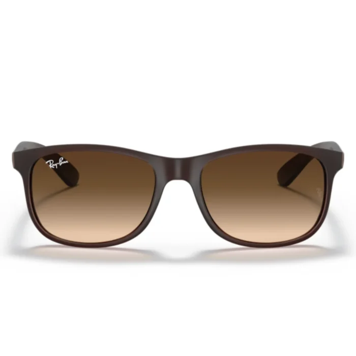 Ray Ban RB4202 6073