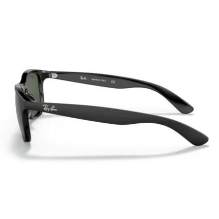 buy - Ray Ban RB4202 6069 online in india